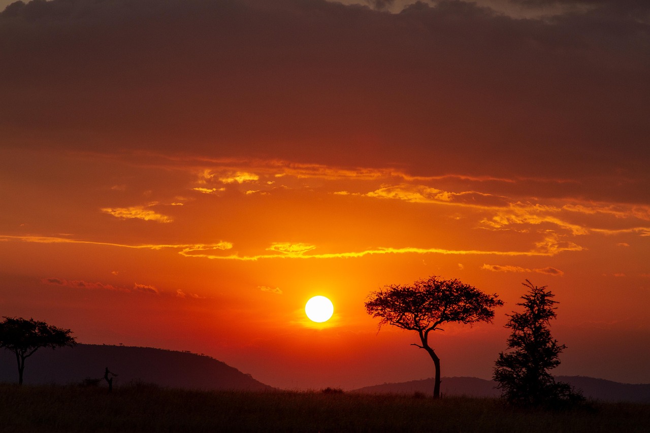 africa, serengeti, tanzania, safari, wildlife, sunset, nature, picturesque, landscape, setting sun, twilight, dusk, serengeti, serengeti, serengeti, serengeti, serengeti
